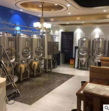 动力时代 精酿啤酒设备 啤酒发酵设备 酿啤酒设备 可定制图1