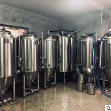 动力时代精酿啤酒 300L/500L啤酒发酵罐 鲜酿啤酒设备 厂家定制