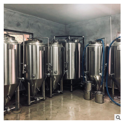 动力时代精酿啤酒 300L/500L啤酒发酵罐 鲜酿啤酒设备 厂家定制