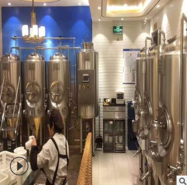 动力时代精酿啤酒 精酿鲜啤设备 自酿啤酒设备 厂家可定制
