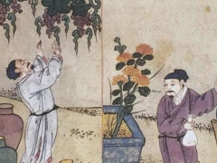 唐宋时期的人主要喝什么酒？