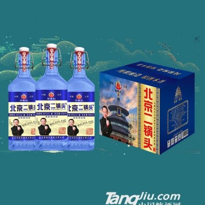 1163蓝方瓶北京二锅头酒