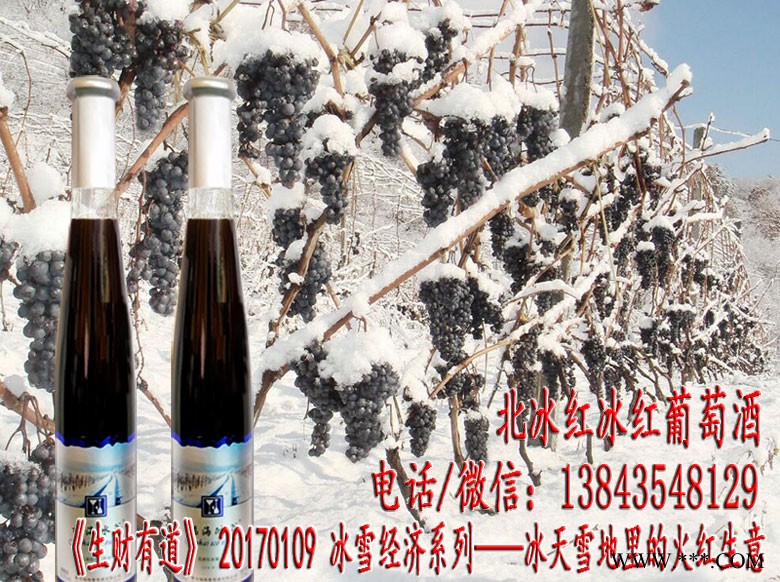 集安鸭江河谷冰葡萄酒 北冰红冰葡萄酒 集安葡萄酒