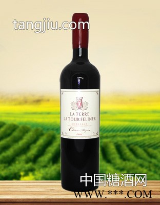 法国拉图菲尔纳珍藏干红葡萄酒图1