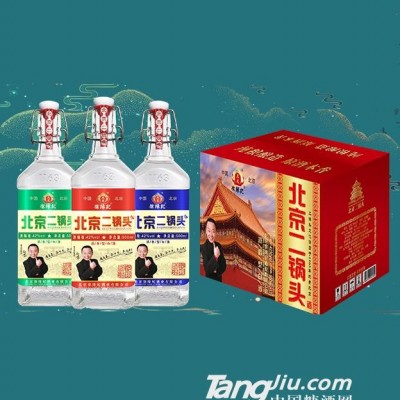 1163方瓶北京二锅头酒