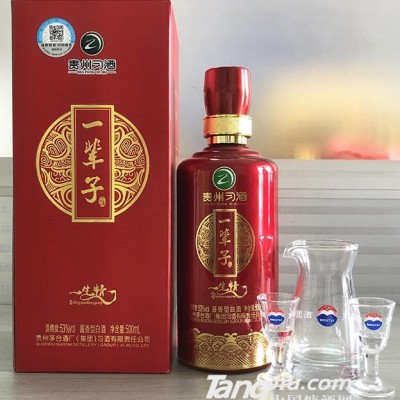 53°贵州习酒一辈子500ml