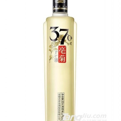 37°古井贡·亳菊500ml