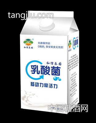 500ml乳酸菌屋顶图1