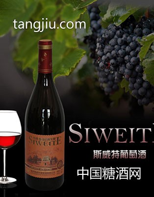 红酒-10图1