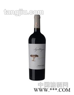 安帕塔瓜赤霞珠红葡萄酒图1