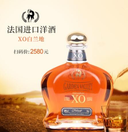 法国原酒进口洋酒XO白兰礼盒装红酒批发酒水洋酒批发代理图3