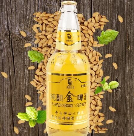 青岛崂特啤酒纯酿金啤酒崂山泉水酿造500毫升12瓶批发青岛 商贸图2